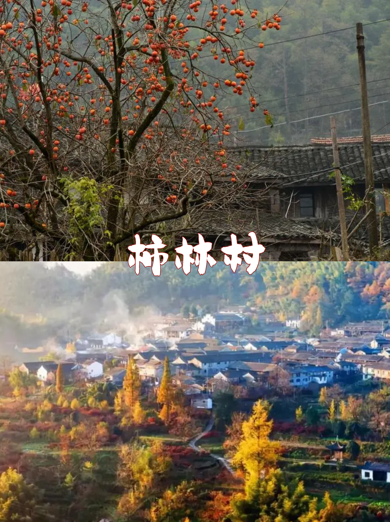 秋季四明山团建|更适合宁波宝子的秋季之约